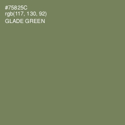 #75825C - Glade Green Color Image